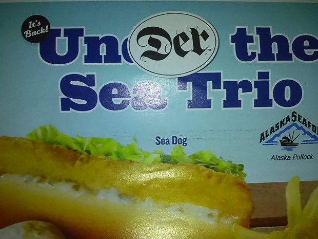 Sea Dog? *Head tilt*